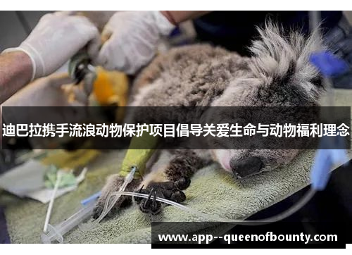 迪巴拉携手流浪动物保护项目倡导关爱生命与动物福利理念