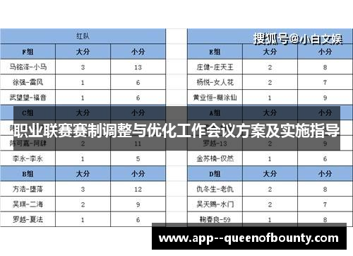 职业联赛赛制调整与优化工作会议方案及实施指导 职业联赛赛制调整与优化工作会议方案及实施指导