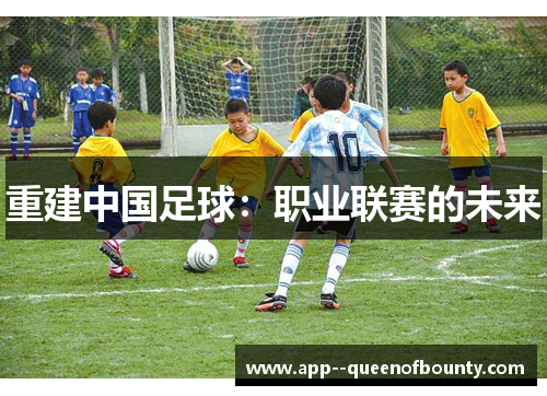 重建中国足球:职业联赛的未来 重建中国足球:职业联赛的未来
