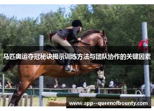 马匹奥运夺冠秘诀揭示训练方法与团队协作的关键因素
